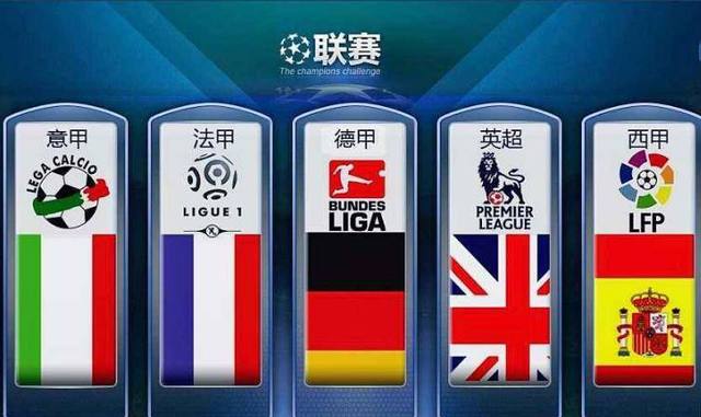 于国内的足